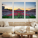 NC State Wolfpack Football Team Print Wall Art - Raleigh
