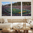 University of California Golden Bears Football Team Print - by MyGreatCanvas | Canvas Wall Art Prints | Photo Prints & Wall Decor