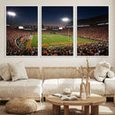 Clemson University Tigers Art Print, Football Team Print -