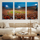 Clemson University Tigers Football Team Print - Clemson