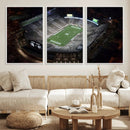 Michigan State Spartans Football Team Print - East Lansing