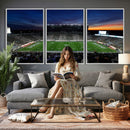 Michigan State Spartans Football Team Print - East Lansing