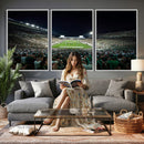 Framed Michigan State Spartans Football Team Print - East