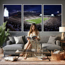 Michigan State Spartans Canvas, Framed Football Team Print -