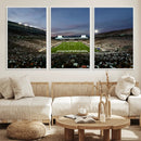 Michigan State Spartans Football Team Print - East Lansing