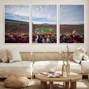 University of Minnesota Golden Gophers Football Team Print - by MyGreatCanvas | Canvas Wall Art Prints | Photo Prints & Wall Decor