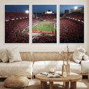 Ohio State University Buckeyes Football Team Print -