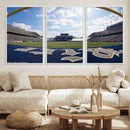 Rice University Owls Football Team Print - Houston Rice