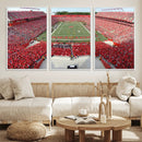 Rutgers Scarlet Knights Football Team Print - Piscataway SHI by MyGreatCanvas | Canvas Wall Art Prints | Photo Prints & Wall Decor