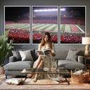 Rutgers University Scarlet Knights Football Team Print -
