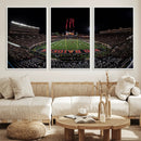Framed Texas Tech Red Raiders Stadium Canvas, Texas Tech Red