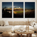 Ball State Cardinals Football Team Print - Muncie Scheumann