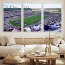 The Texas Christian University TCU Horned Frogs Football