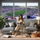 The Texas Christian University TCU Horned Frogs Football