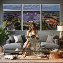 The Louisiana State University Tigers Football Team Print -