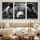 Resting Grizzly 399 Bear Canvas Print | Ready to Hang Wall