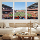 Oregon State Beavers Football Team Print - Corvallis Reser by MyGreatCanvas | Canvas Wall Art Prints | Photo Prints & Wall Decor