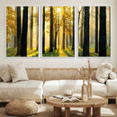 Sunlit Forest Wall Art Canvas Print – Large Framed Woodland