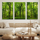 Lush Green Forest Canvas Print | 3-Panel Forest Wall Art |