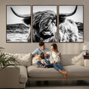 Black and White Scottish Cow Canvas Wall Art Highland Cattle