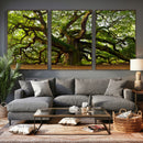 Angel Oak Tree Wall Art Canvas Print | Forest Tree Nature