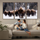Bison Wall Art Canvas Print- Bison Herd Canvas Wall Art – by MyGreatCanvas | Canvas Wall Art Prints | Photo Prints & Wall Decor