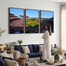 Cincinnati Reds Baseball Canvas Print - American Ball