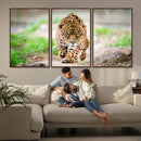 Leopard on the Prowl - Stunning Large Framed Leopard Wall