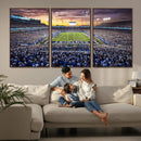 Kroger Field Wall Art Print - Kentucky Stadium Wall Art