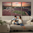 Indiana Memorial Stadium Wall Art Canvas Print, Framed