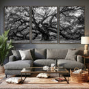 Black and White Old Angel Oak Tree Wall Art Canvas Print