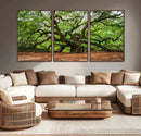 Majestic Oak Tree Wall Art Canvas Print – Ancient Branches by MyGreatCanvas | Canvas Wall Art Prints | Photo Prints & Wall Decor