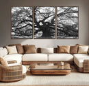 Ancient Oak Wall Art Canvas Print, Majestic Twisted Branches by MyGreatCanvas | Canvas Wall Art Prints | Photo Prints & Wall Decor