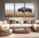 Wild Bison Wall Art – Framed Prairie Landscape Canvas by MyGreatCanvas | Canvas Wall Art Prints | Photo Prints & Wall Decor
