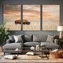 MyCanvas -