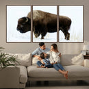 Bison Wall Art Canvas Print – Framed Western Wildlife