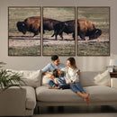 Bison Wall Art Canvas Print – Framed Western Wildlife Modern by MyGreatCanvas | Canvas Wall Art Prints | Photo Prints & Wall Decor