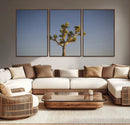 Joshua Tree Wall Art Canvas Print – Framed Southwestern