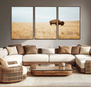 Buffalo Wall Art Canvas Print – Framed Western Wildlife