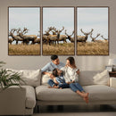 Elk Herd Wall Art Canvas Print – Framed Wildlife Photography