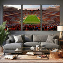 Tennessee Neyland Stadium Wall Art, Sports Arena Canvas by MyGreatCanvas | Canvas Wall Art Prints | Photo Prints & Wall Decor
