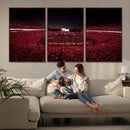 Dooley Stadium Wall Art, Sports Arena Canvas Print, Dooley by MyGreatCanvas | Canvas Wall Art Prints | Photo Prints & Wall Decor