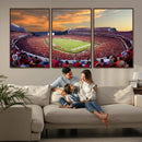 Dooley Stadium Wall Art, Sports Arena Canvas Print, Dooley by MyGreatCanvas | Canvas Wall Art Prints | Photo Prints & Wall Decor