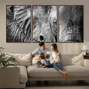 Wild Old Elephant Wall Art Canvas Print