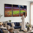 Clemson Football Stadium Wall Art Canvas Print, College