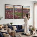 Donald W. Reynolds Razorback Stadium Wall Art Canvas Print –