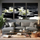 Plumeria Frangipani Black Stone Canvas | White Flower Spa by MyGreatCanvas | Canvas Wall Art Prints | Photo Prints & Wall Decor
