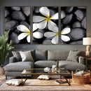 Plumeria Frangipani Black Stone Canvas | White Flower Spa by MyGreatCanvas | Canvas Wall Art Prints | Photo Prints & Wall Decor