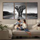 Black and White Elephant Wall Art Canvas Print