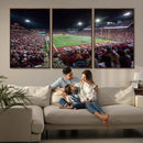 Mississippi State Bulldogs Stadium Wall Art Canvas Print –